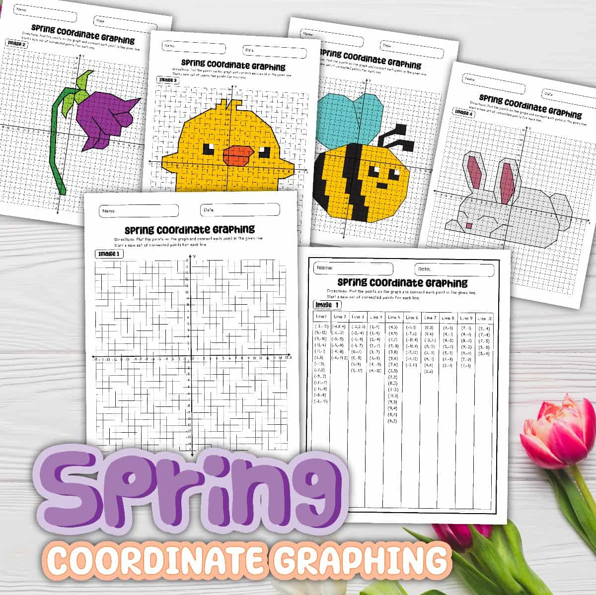 8 Free Pdf Coordinate Graphing Worksheets (Spring Pictures) with regard to Coordinate Graphing Pictures Free Printable