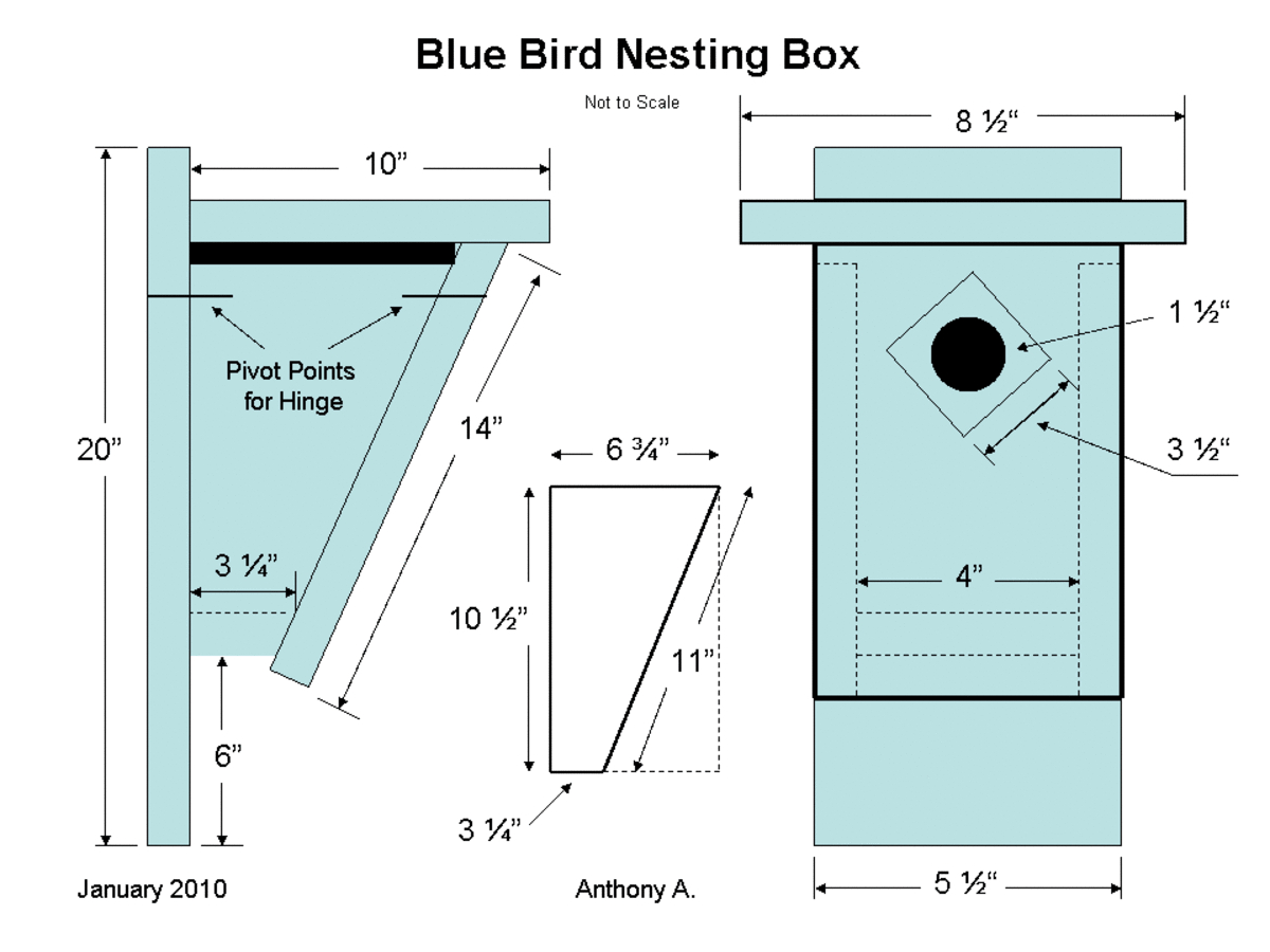 Bluebird Birdhouse Plans: How To Build A Peterson Slant-Front in Printable Peterson Bluebird House Plans
