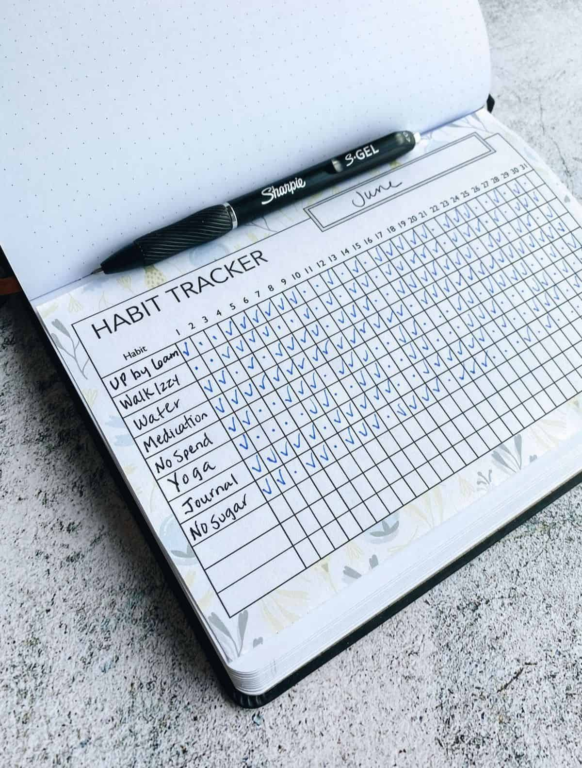 Bullet Journal Habit Tracker Printable + 50 Habit Tracker Ideas regarding Bullet Journal Habit Tracker Printable