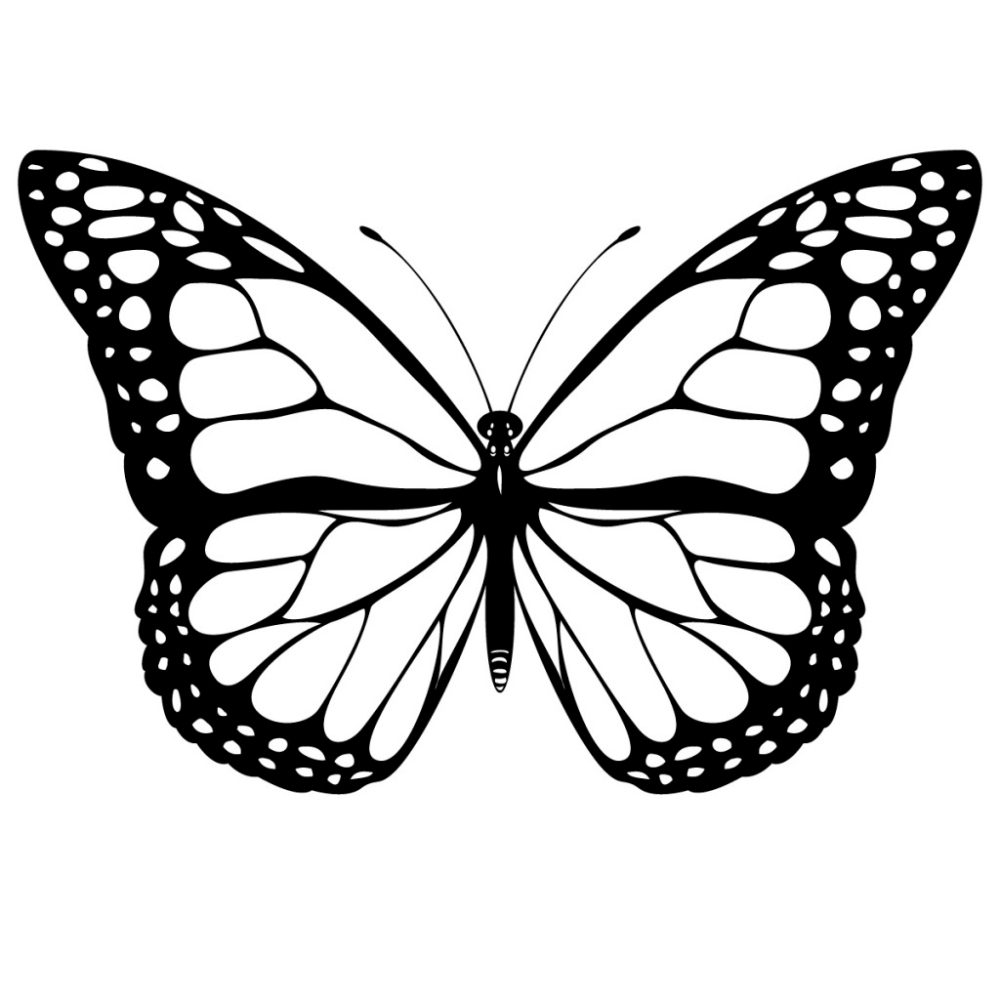 Butterfly Drawing #1633769 intended for Printable Butterfly Clipart Black And White
