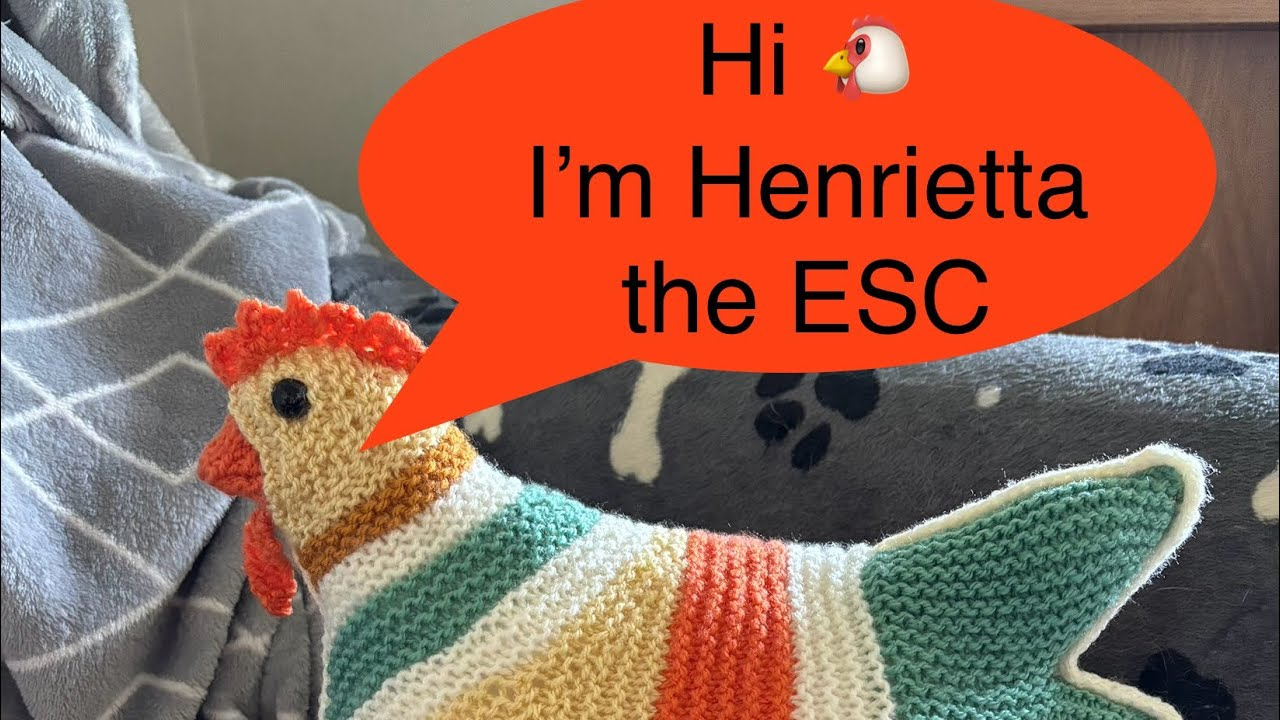 Emotional Support Chicken@Theknittingtree On Ravelry regarding Ravelry Free Printable Emotional Support Chicken Pattern