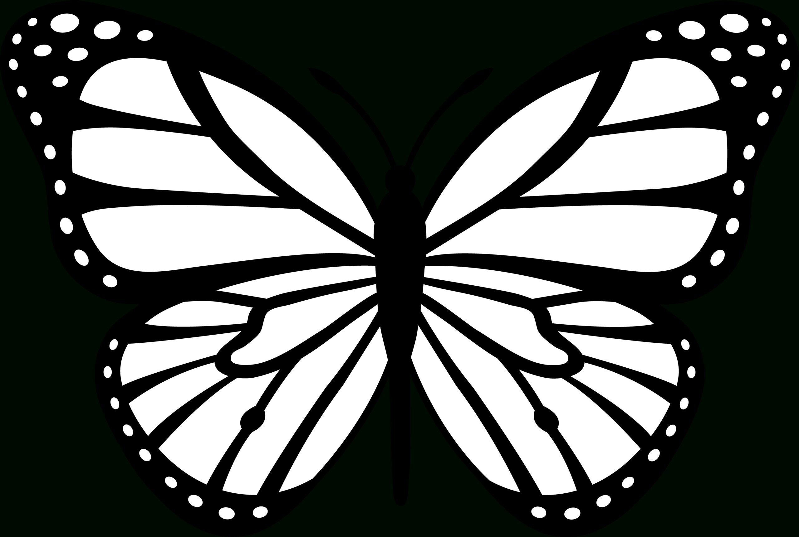 Monarch Butterfly Black White | Free Images At Clker - Vector with Printable Butterfly Clipart Black And White
